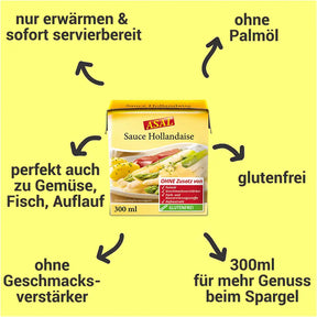 Sauce Hollandaise flüssig